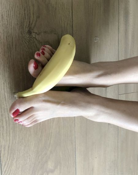 梅花儿香电视剧免费观看