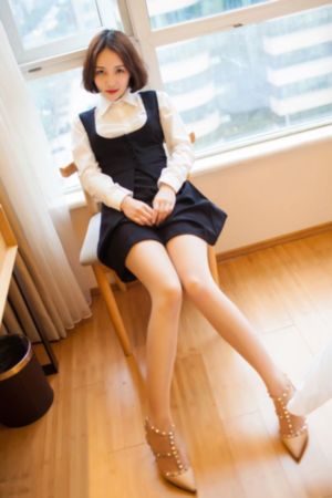 秘密女搜查官の在线观看