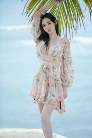 梅花三弄免费完整版