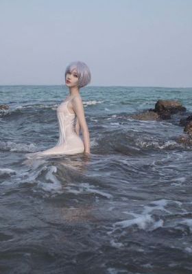红楼梦情欲录